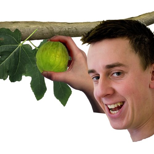 Creation of Fig Plucker: Step 2